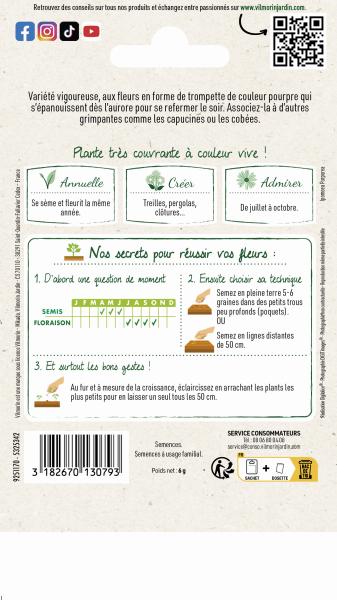 Fleurs - Ipomée Volubilis Pourpre - MEDIA_PACKAGING_VERSO